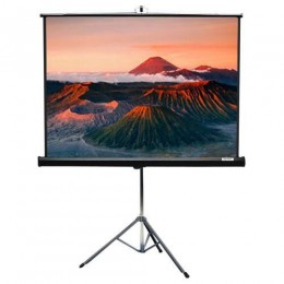 Draper Diplomat/R NTSC (3:4) 244/96" (100", 8') 152*203 MW (XT1000E) Экран