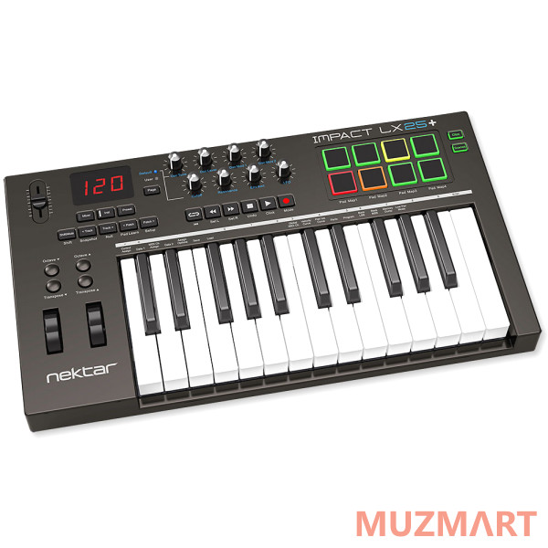 Nektar Impact LX 25 + USB MIDI клавиатура