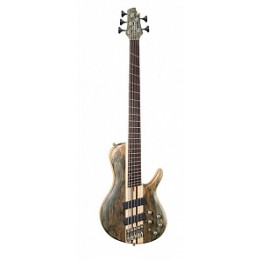Cort A5-Plus-SCMS-OPTG Artisan Series Бас-гитара 5-струнная