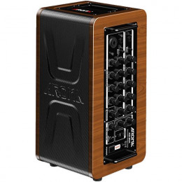 Aroma AG-60A Комбоусилитель для акустической гитары