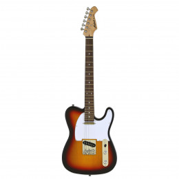 Aria PRO II TEG-002 3TS Электрогитара