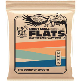 Ernie Ball 2800 Flatwound Group 1 Short Scale 50-110 Струны для бас-гитары