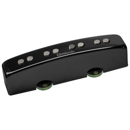 DiMarzio DP304GB Комплект звукоснимателей