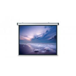 Projecta 10130739 Dynamic Electrol Rear Projection Проекционный экран 180х238