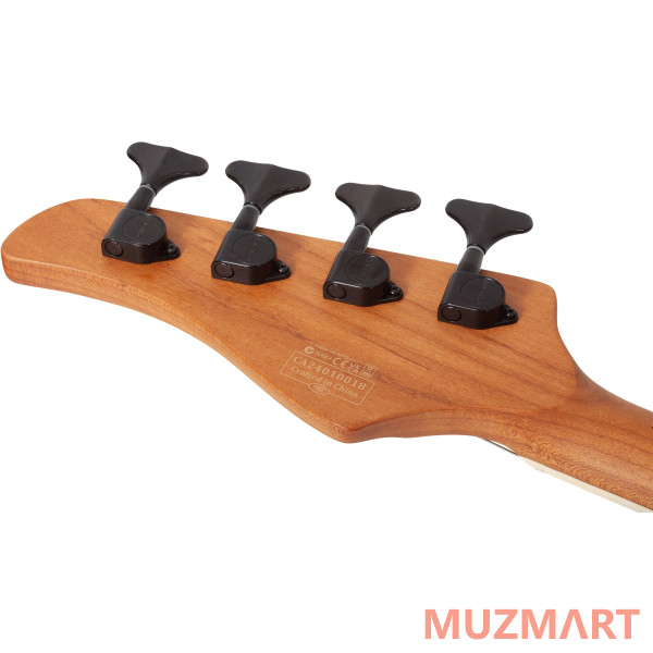 	Schecter C-4 STANDARD CS Гитара бас