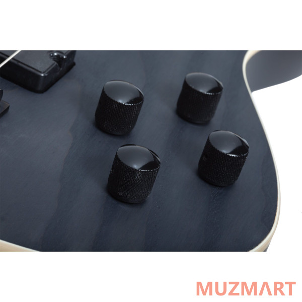 	Schecter C-4 STANDARD CS Гитара бас