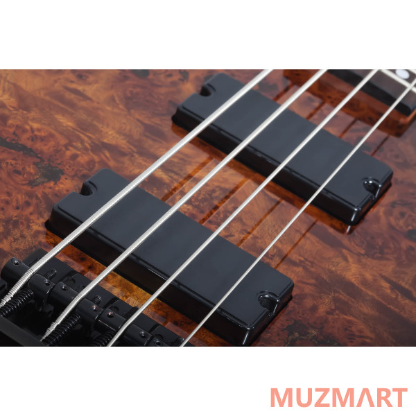 	Schecter C-4 STANDARD TB Гитара бас
