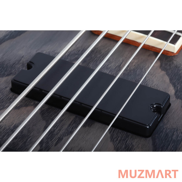 	Schecter C-5 STANDARD CS Гитара бас