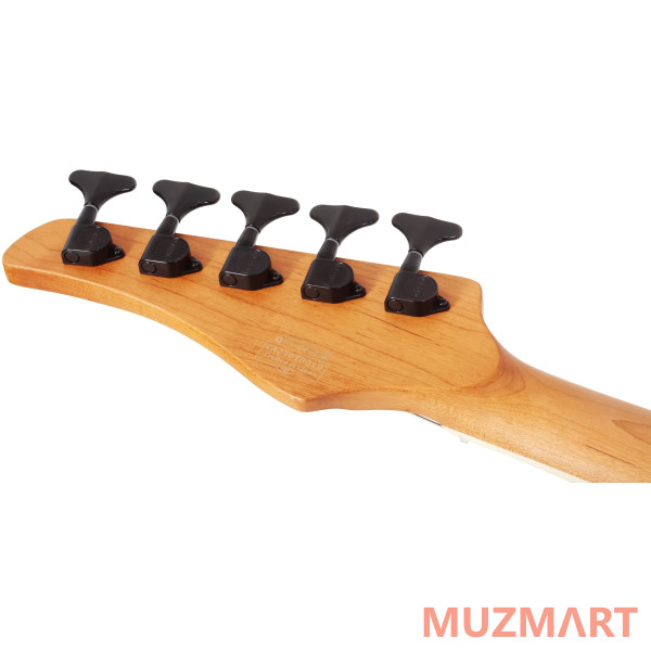 	Schecter C-5 STANDARD CS Гитара бас
