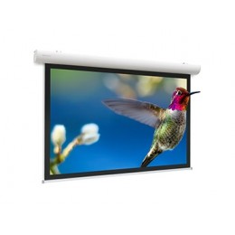 Projecta Elpro Concept [10103541] Проекционный экран с электроприводом 191x300 см
