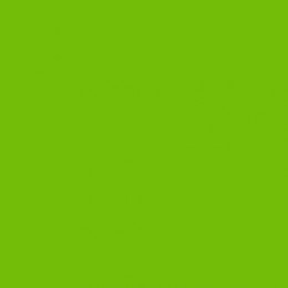 Rosco Supergel #386 Ацетатная пленка, цвет Leaf Green