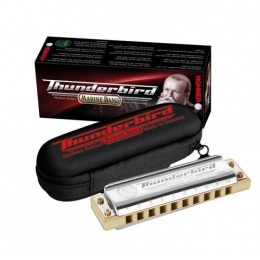 Hohner Marine Band Thunderbird Low Low F (M201175X) Губная гармоника с уроками