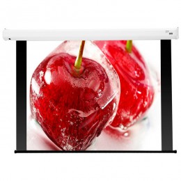 Draper Baronet AV (1:1) 84/84" 213*213 XT1000E (MW) MB Экран с электроприводом