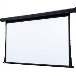 Draper Premier NTSC (3:4) 305/120" 183*244 XT1000V (M1300) ebd 12" case white Экран с электроприводом