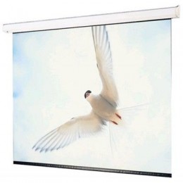 Draper Targa HDTV (9:16) 559/220" 269*478 XT1000E (MW) Экран с электроприводом