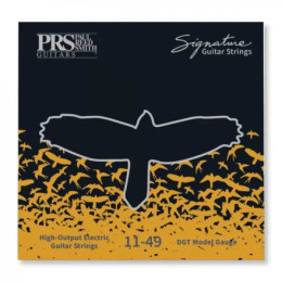 PRS Signature David Grissom Cтруны для электрогитары 11-49